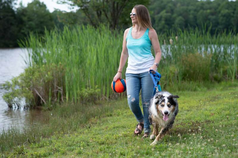 Dog Friendly Resorts Near Washington Dc