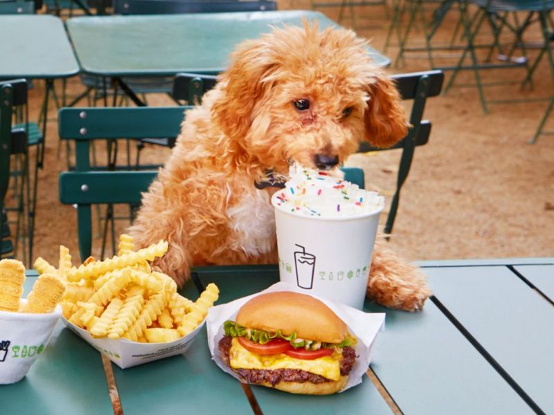 Dog-friendly Restaurants Near Me Indoor