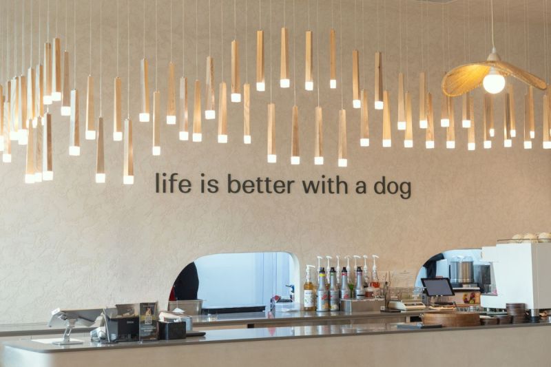 Dog Friendly Restaurants Near Me Inside