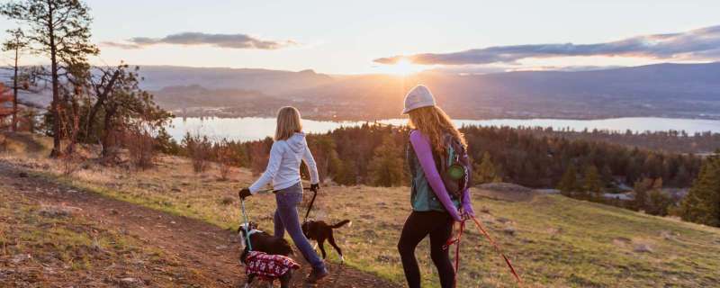 Dog Friendly Vacations Canada