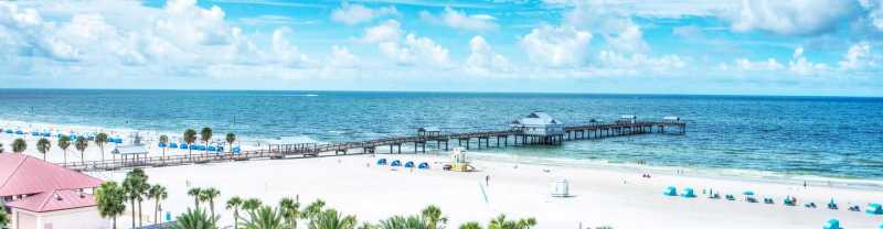 Dog Friendly Vacations Florida