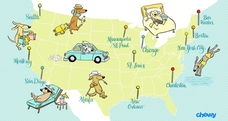 Dog Friendly Vacations In The Us