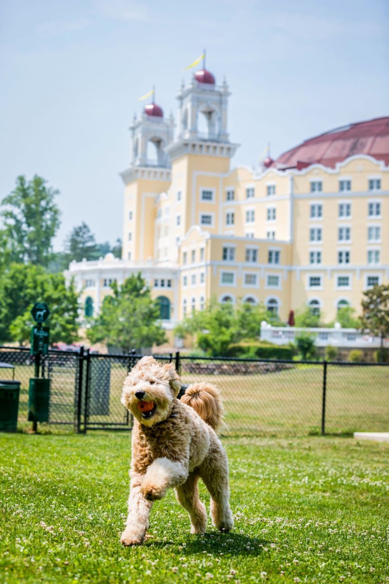 Dog Friendly Vacations Pa