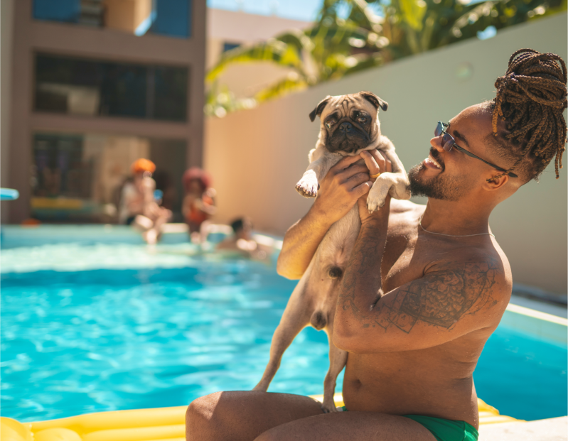 Dog Friendly Vacations South