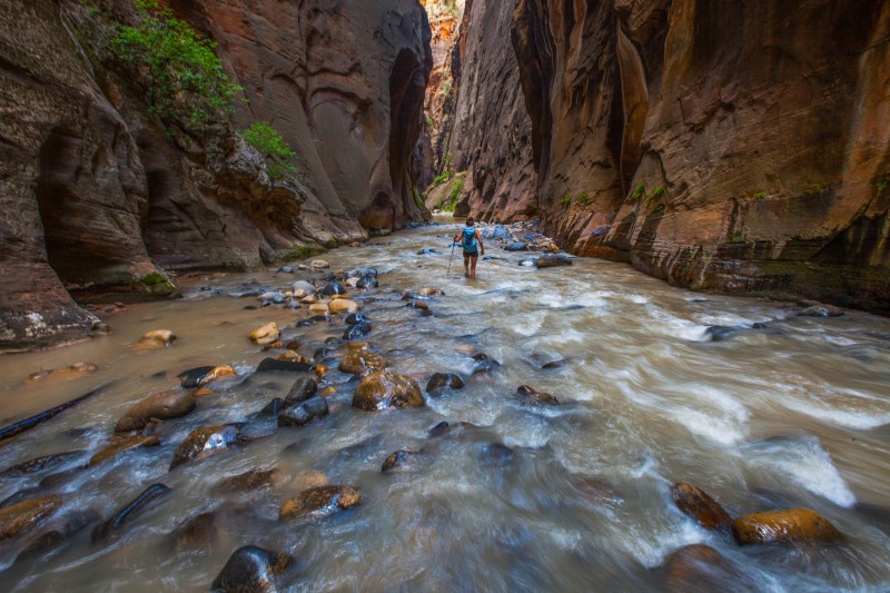 Pet Friendly Lodging Zion National Park