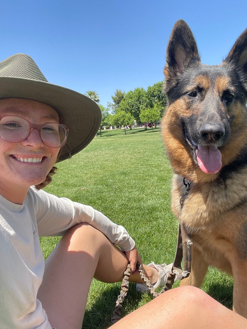 Vacation Dog Walker