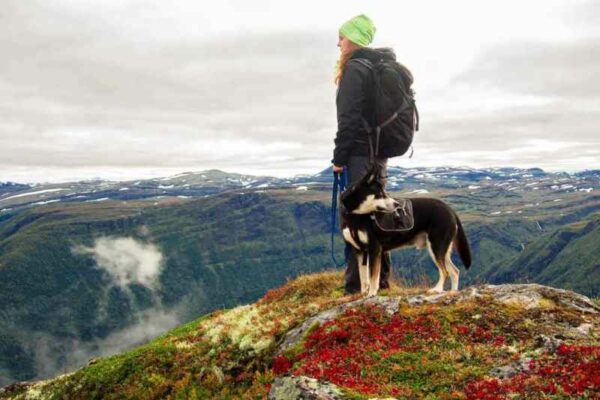 Best Dog Friendly Hikes