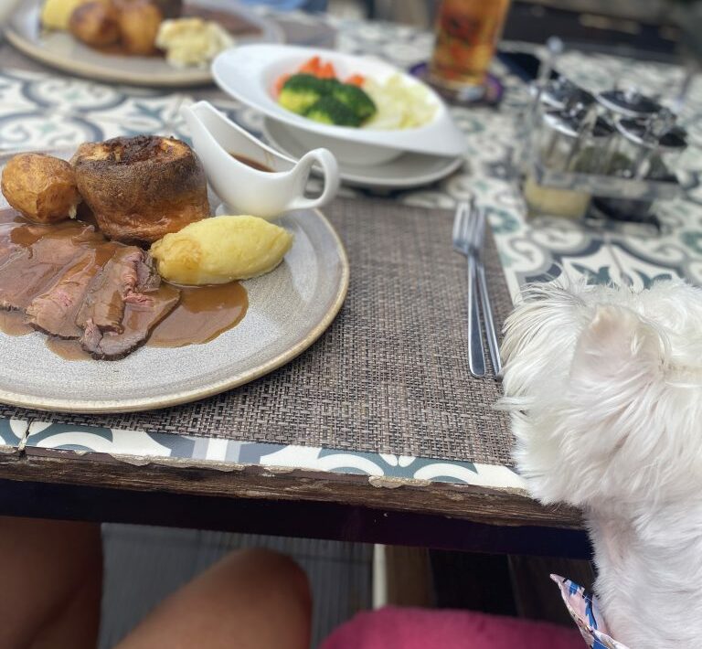 Best Dog Friendly Sunday Lunch Near Me