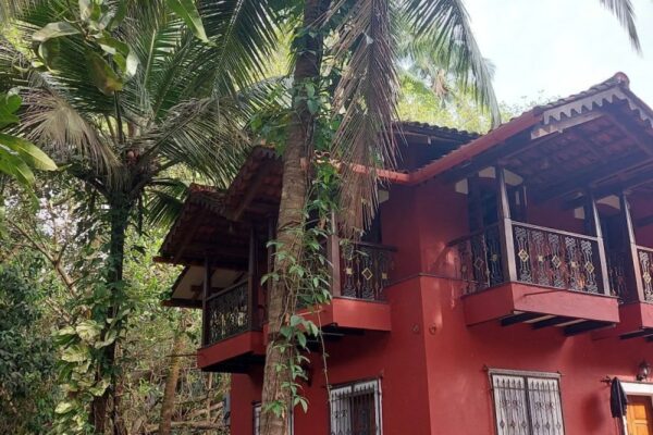 Best Pet Friendly Resorts In Goa