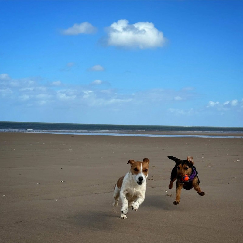 Dog Friendly Holidays East Anglia