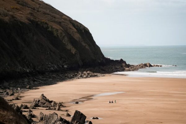 Best Dog Friendly Beaches On The East Coast