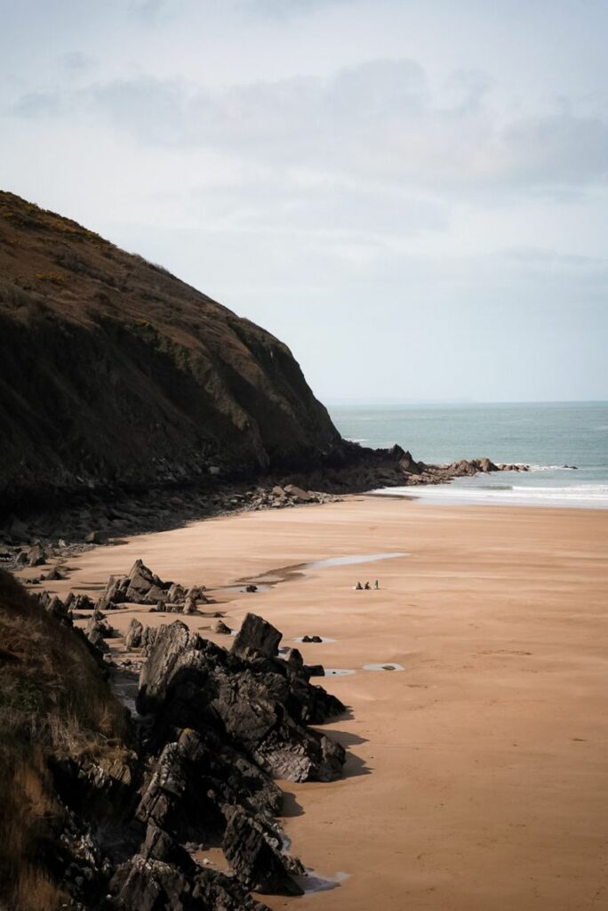 Best Dog Friendly Beaches On The East Coast