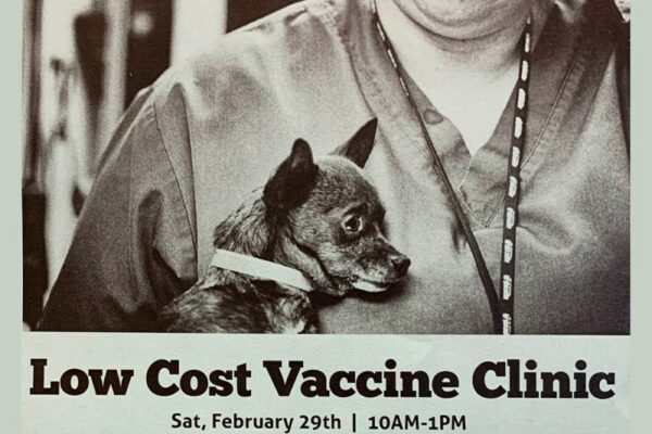 Low Cost Pet Vaccines Near Me Today