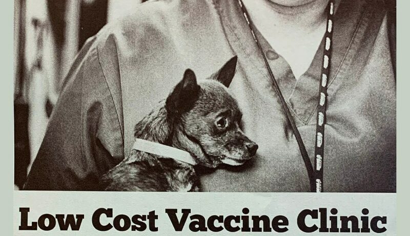 Low Cost Pet Vaccines Near Me Today