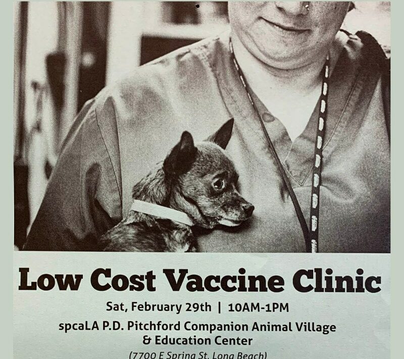 Low Cost Pet Vaccines Near Me Today