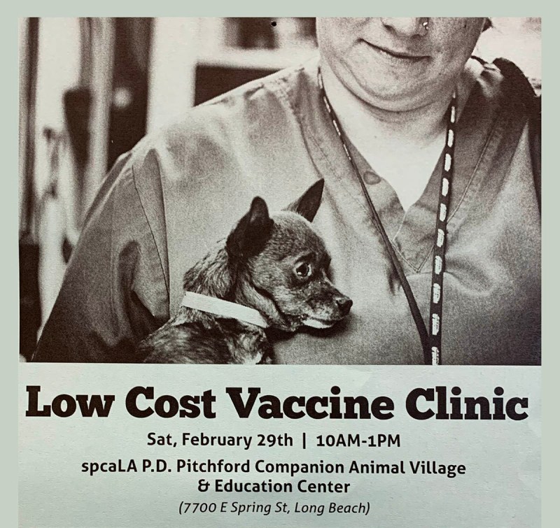 Low Cost Pet Vaccines Near Me Today