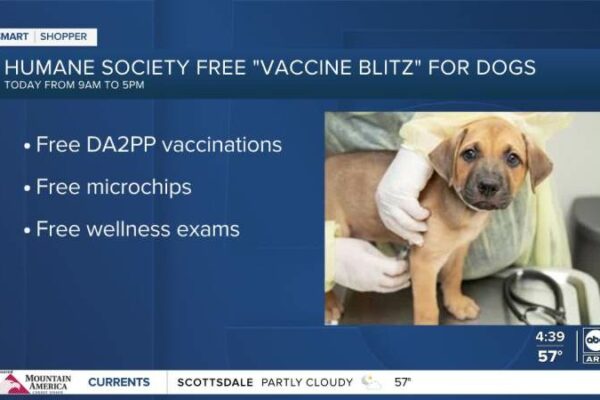 Where Can I Get Free Dog Vaccinations