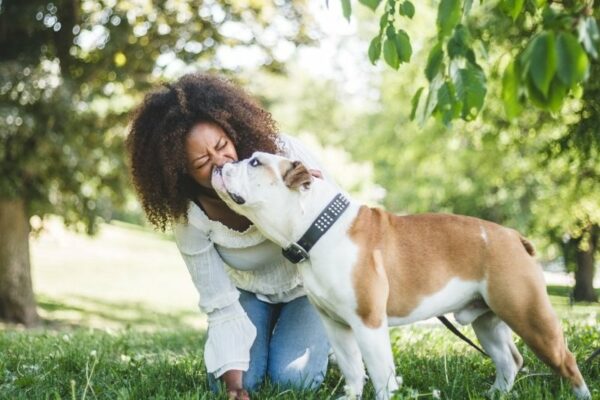 Best Friendly Dog For Home