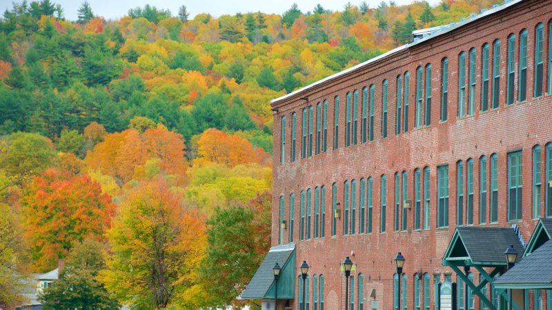 Dog Friendly Lodging Near Keene Nh